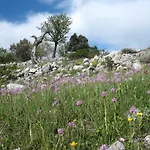 Orchidea Parco Del Gargano * Mattinata