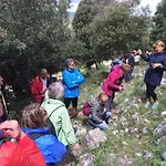 Orchidea Parco Del Gargano * Mattinata
