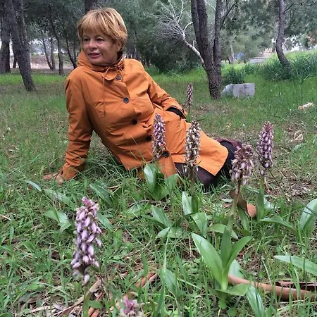 Orchidea Parco Del Gargano Mattinata