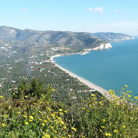 Orchidea Parco Del Gargano 아파트 *
