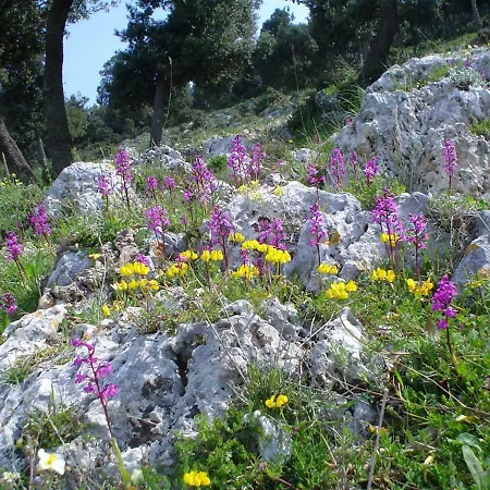 아파트 Orchidea Parco Del Gargano 마티나타