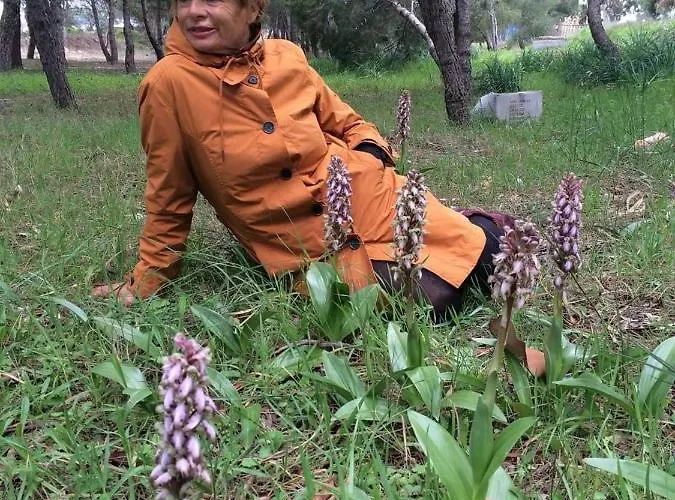 Orchidea Parco Del Gargano Mattinata