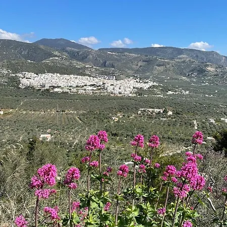 Orchidea Parco Del Gargano マッティナータ