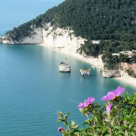 Orchidea Parco Del Gargano *