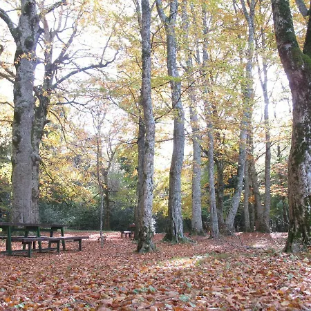 Orchidea Parco Del Gargano 马蒂纳塔