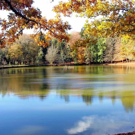 アパート Orchidea Parco Del Gargano *