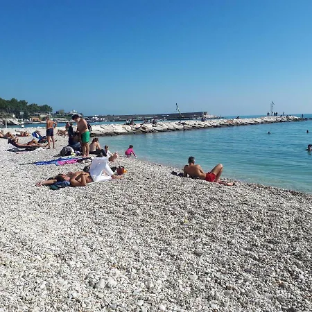 Orchidea Parco Del Gargano * マッティナータ