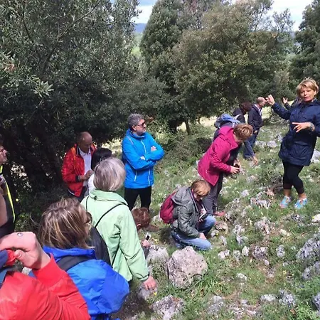 Orchidea Parco Del Gargano * マッティナータ