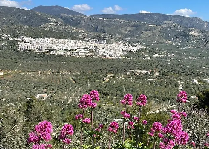 Orchidea Parco Del Gargano Mattinata