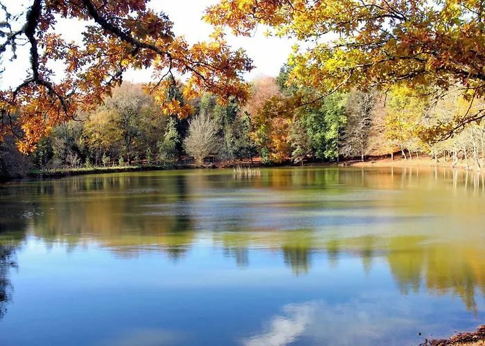 아파트 Orchidea Parco Del Gargano *