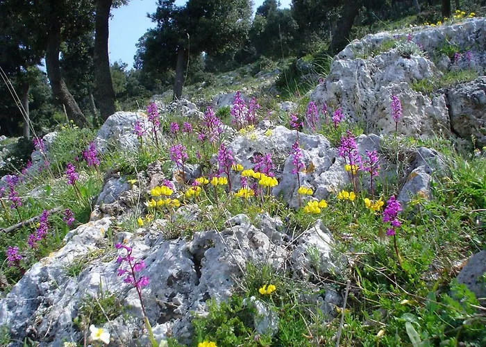 Appartement Orchidea Parco Del Gargano Mattinata