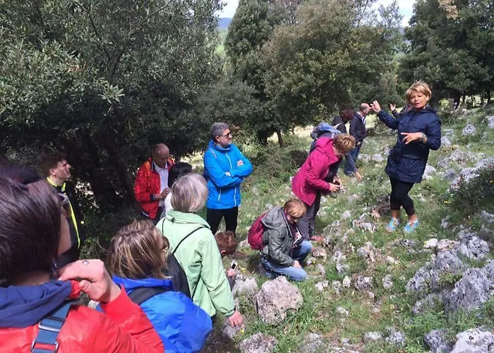 Orchidea Parco Del Gargano * 마티나타
